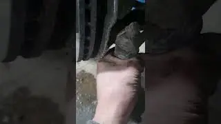 Solaris такси