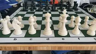 Plastic Chess Pieces No 6