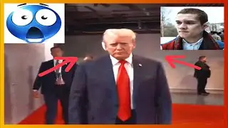 тикток трамп | подборка мемов