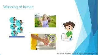 Clean and Healthy: Personal Hygiene for Kindergarten