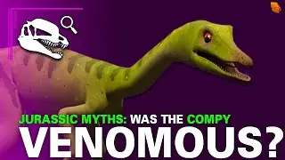 Was the Compy VENOMOUS? | Jurassic Myths