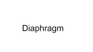Trigger Point Therapy Technique - Diaphragm 