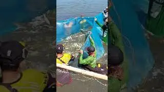 Fishing #fishing #amazing #angler #bangus #avcılar #balıkavı #fish #adventure #fishingtricks #short
