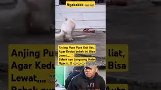 Auto Ngacirrrrrrr 😂😂😂😂😂