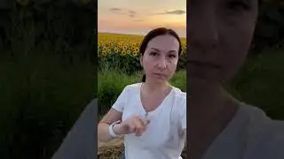 12 августа 2021 г.