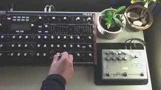 Hologram 'Microcosm' and Novation 'Peak'
