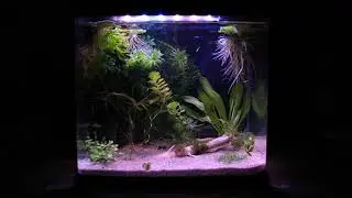 Aquarium