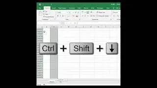 Selection in Excel || Excel || Different Methods of Selection || 