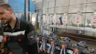 Доильный зал для коз с индивидуальной идентификацией на 18 мест, на эстакаде.
