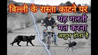 Vastu Shastra बिल्ली के रास्ता काटने पर ये गलती कभी मत करना नहीं तो सबसे बुरे दौर से गुजरोगे Cat