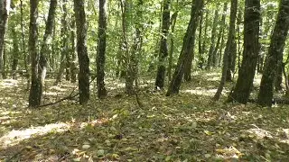Сезон закончен. Начинаются поиски.