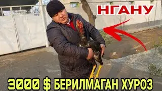 ПАРВОЗ АКАЛАР УЧУН  