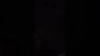28 ноября 2023 г.