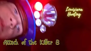 Attack of the killer B #louisianahunting #dog #horror