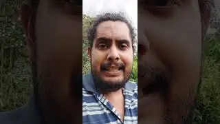 Minha irmã não tem condições de cuidar do filho e que me dar a guarda, como faço pra ser tutor?
