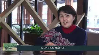 Меринос койлор