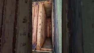 #пчеловодство