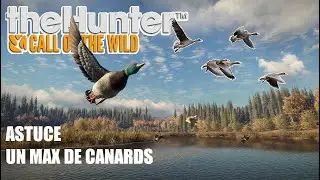 THEHUNTER COTW - ASTUCE FAIRE UN MAX DE CANARDS