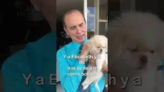 Las Mascotas Nos Dan Felicidad