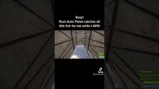 Rust Auto Fisher Bot. Link in comments! 