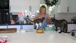 Bir #evvlog günü | otomatik kedi tuvaleti kuruyorum, atinadan aldıklarım