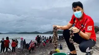 MENYIPUT.. Jutaan siput terdampaq di pantai LANGKAWI