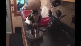 [NSFW] SKELETON SHAKES ITS BUTT