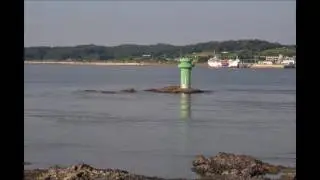 밀물과 썰물