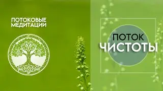 Поток Чистоты