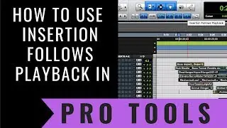 How To Use Insertion Follows Playback in Pro Tools