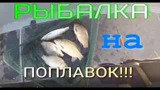 Рыбалка на удочку!! КАРАСЬ, ЧЕБАК. ПОДЛЕЩИК.