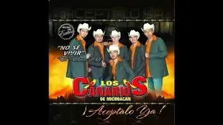 Los Canarios De Michoacan - Las Animas Del Río [Audio]