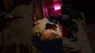 ‼️Жесть в Американском Доме ‼️