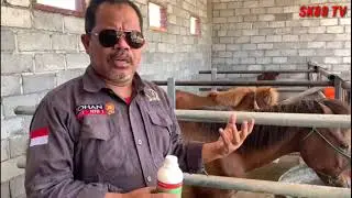 Anggota DPR RI Johan Rosihan;