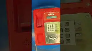 2024 год