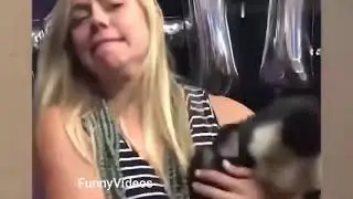 Funniest Animals - Best Of The 2021 Funny Animal Videos. Try Not To Laugh.