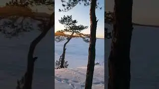 февраль 2024, озеро Синара