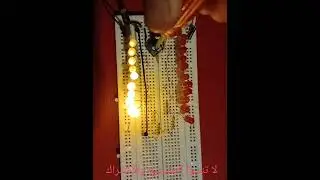 فلاشر متغير لعدد من اللدات Variable flasher for multi leds