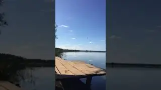 31.08.2017. Природа Подмосковья.
