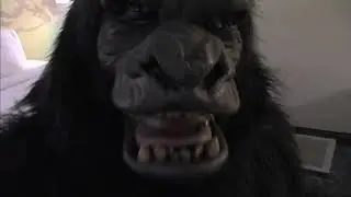 Weregorilla Transformation 14