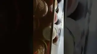 Как оказаться в холодильнике