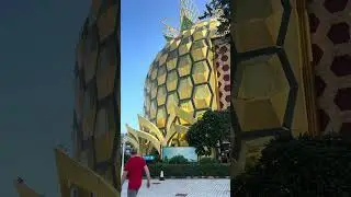 Ананас - Хайнань 
