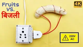 220 Volt Electricity Vs. Fruits Experiment