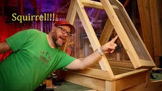 Squirrel proof garden build