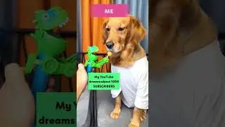 A Look Into My YouTube Dream 😂  #shorts #youtube #dream #funny