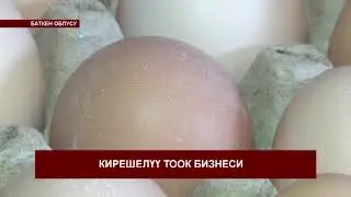 Баткендик фермер тоок багып, айына 150 миң сом таза киреше табат
