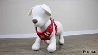 Soft Harness for Small Dogs - Product Video
