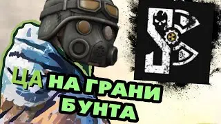 Чат STALCRAFT би лайк