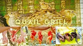 காடை கிரில் செய்வது எப்படி | yummy Quail Grill How to make