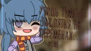 |⚡|Учишь тёмные заклятья на переменах...~|⚡| |Меме| |ОРИГИНАЛ| |би: Каштанчик|
